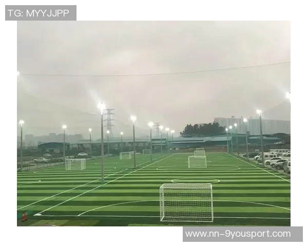 天津足球场围网建设提升赛事安全保障与观众体验的双重效果 天津足球场围网建设提升赛事安全保障与观众体验的双重效果